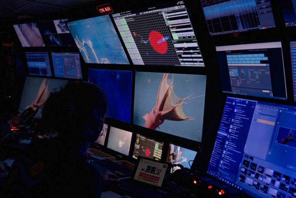 Credit Jovelle Tamayo Schmidt-Ocean Institute